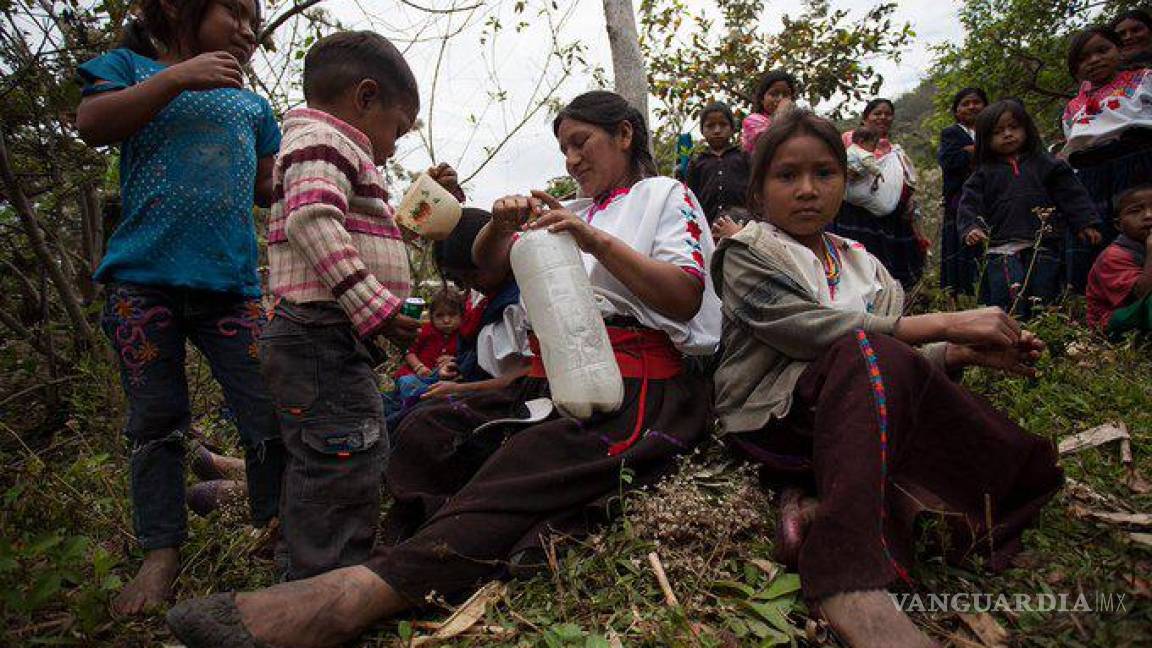 Denuncian ataques armados contra comunidades en Aldama, Chiapas; provocan desplazamiento de miles