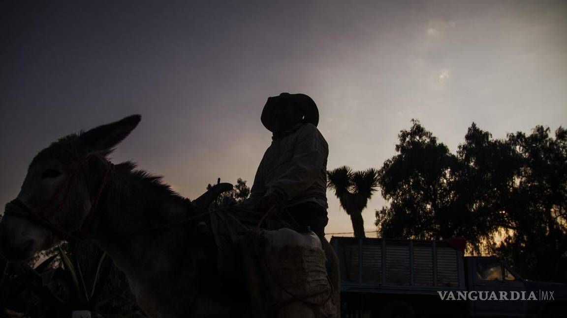 $!"Cuando empezamos no había hipsters": cómo los punks rescataron la tradición del pulque en México
