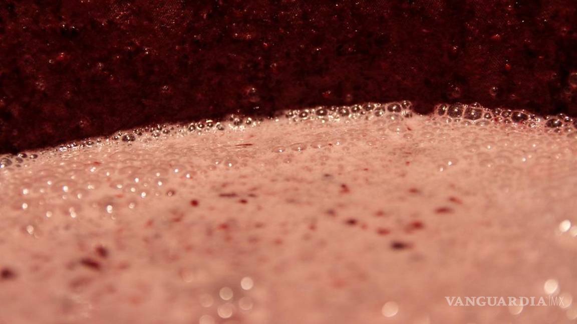 $!"Cuando empezamos no había hipsters": cómo los punks rescataron la tradición del pulque en México