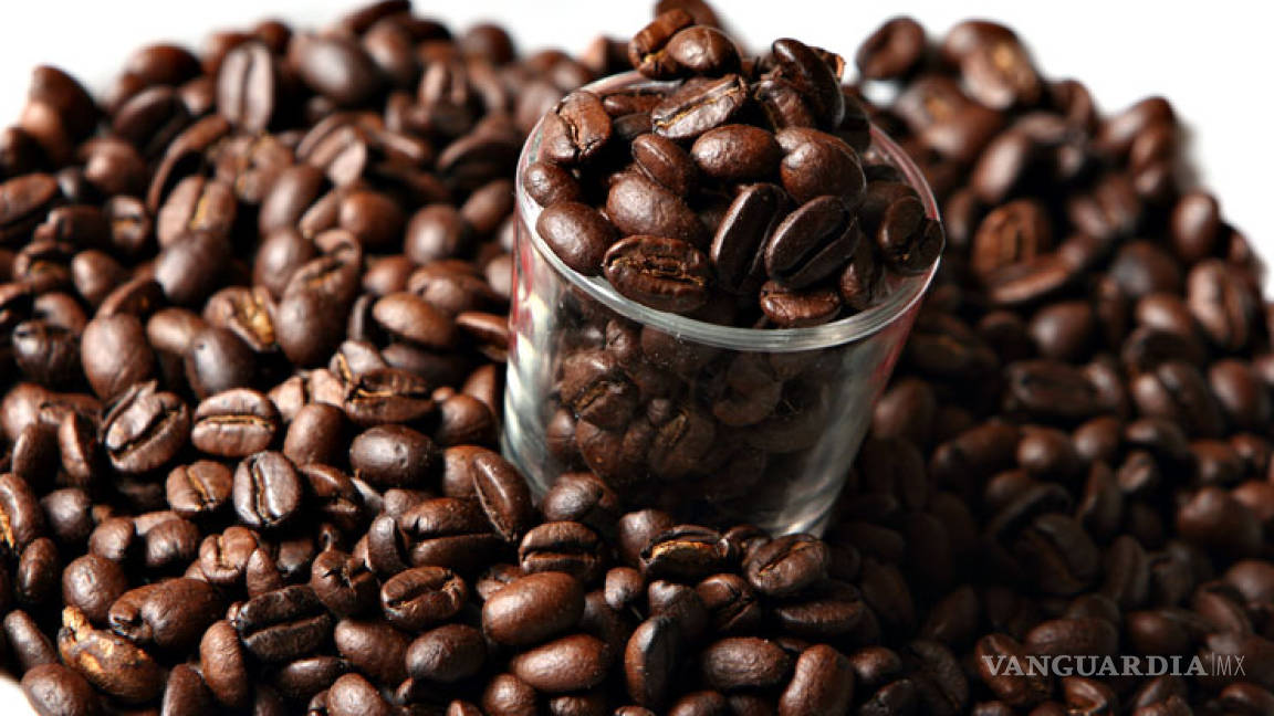 ¿Te encanta el café?, la razón está en tus genes