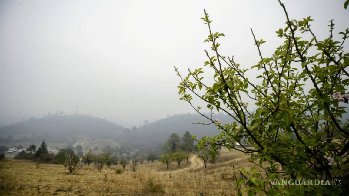Incendio en ‘La Pinalosa’ controlado al 75%