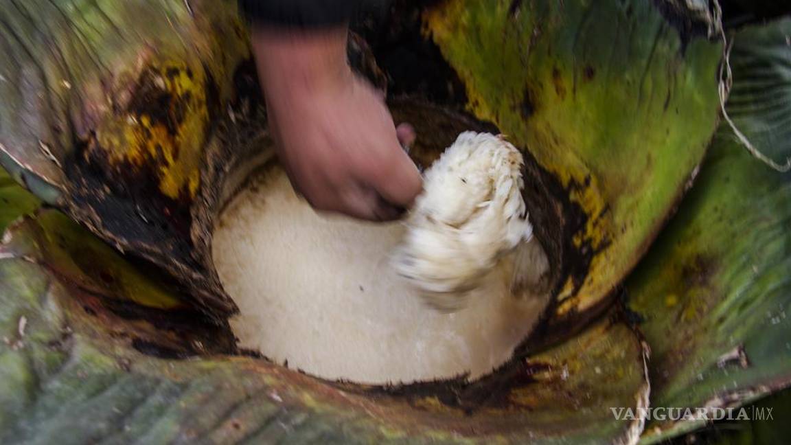 $!"Cuando empezamos no había hipsters": cómo los punks rescataron la tradición del pulque en México