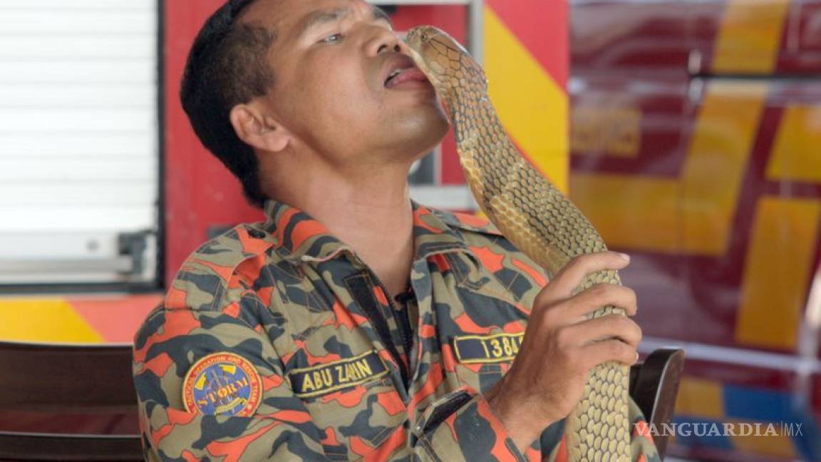 Famoso encantador de serpientes muere después de ser mordido por una cobra