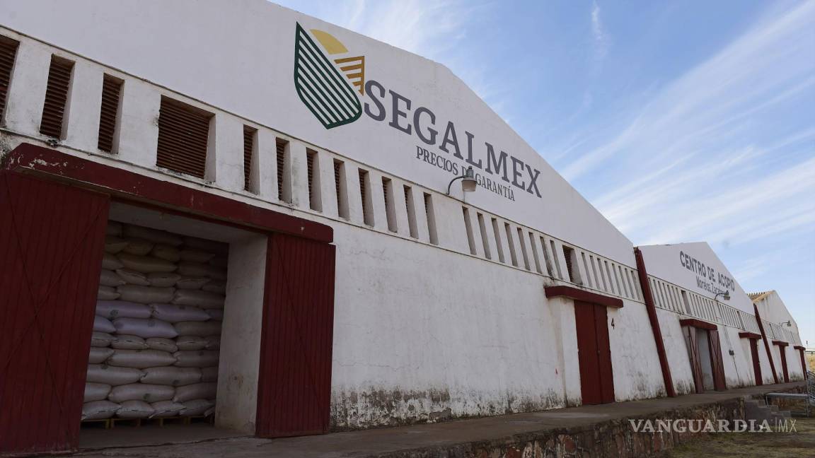 Exdirector jurídico de Segalmex fue detenido por la FGR, revela Mexicanos Contra la Corrupción