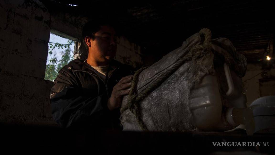 $!"Cuando empezamos no había hipsters": cómo los punks rescataron la tradición del pulque en México