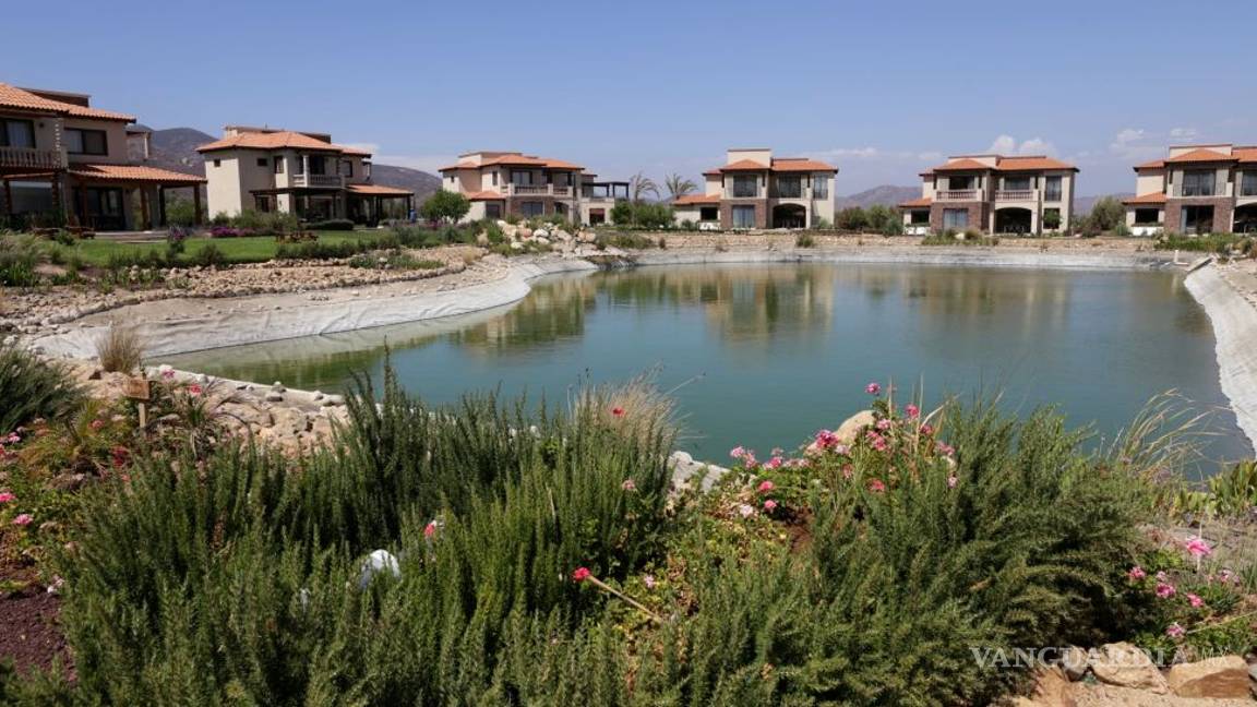 $!Salieron políticos 'buenos' (y vivos) para el vino: aprovechan apoyos federales para sus viñedos