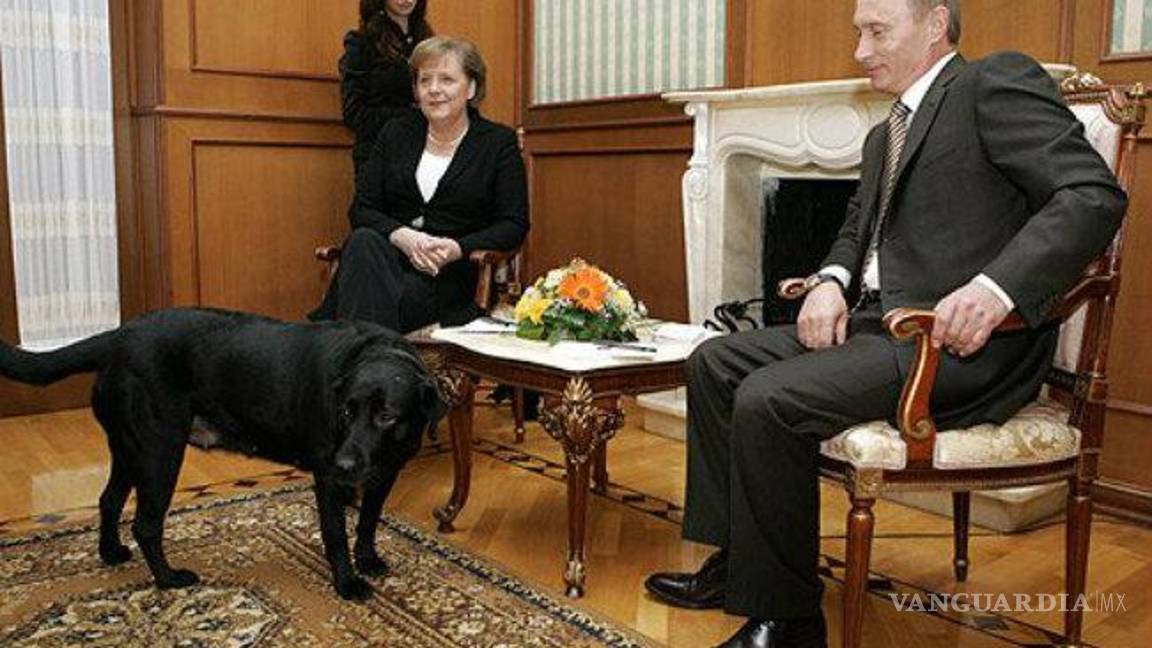 $!10 razones por las que Vladimir Putin es el Chuck Norris de Rusia