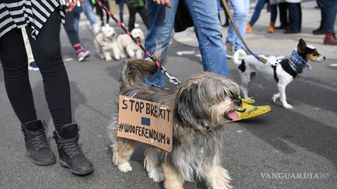 $!Cientos de perros ladran contra el "Brexit" en Londres
