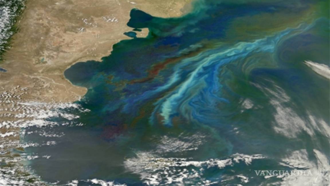 $!Preocupa a NASA la salud de los océanos