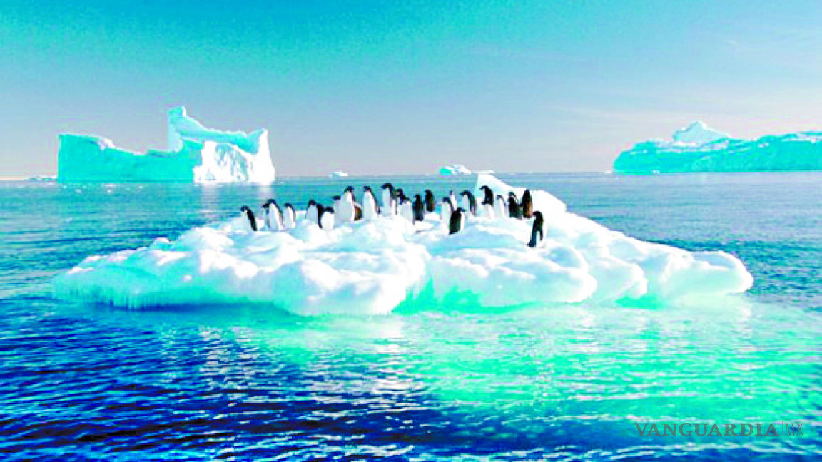 Temperatura en la Antártida presenta niveles similares a los de hace 20 millones de años