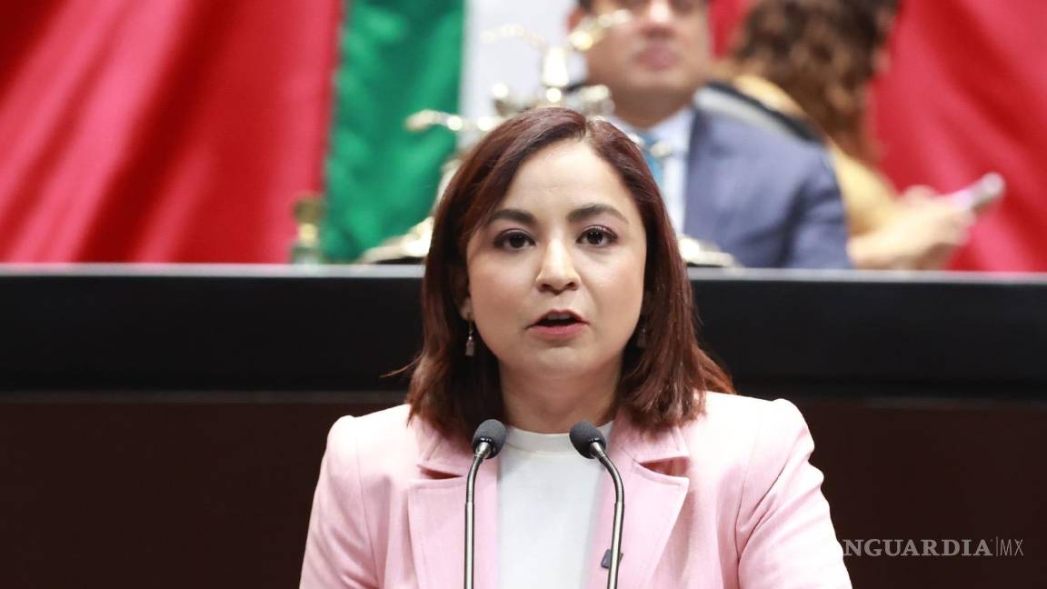 $!Diputada Irais Reyes De la Torre, del Movimiento Ciudadano, plantea reformar el artículo 4º de la Carta Magna | Foto: Especial