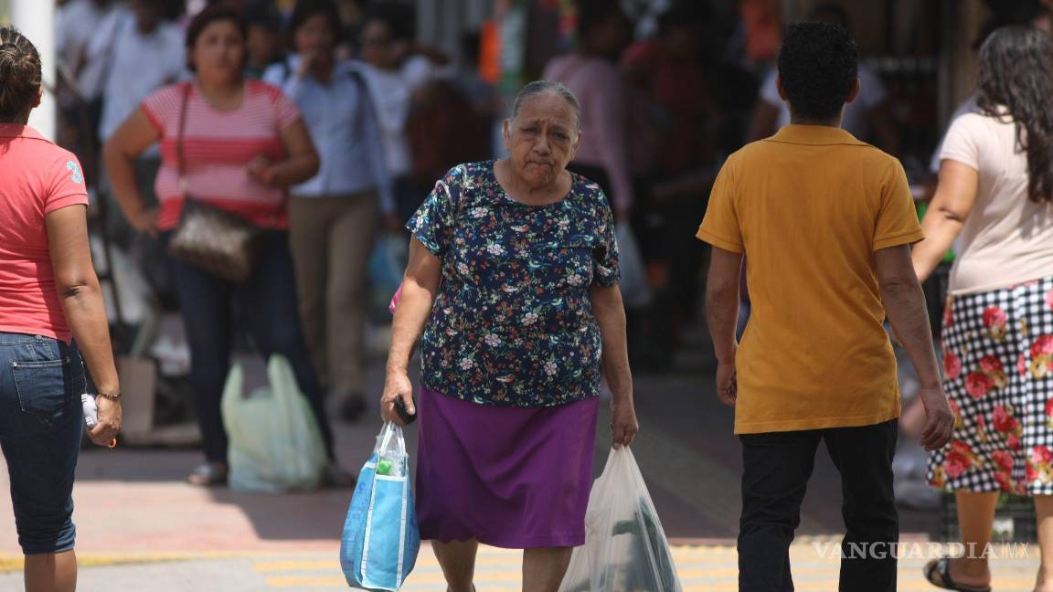 Ser jefa del hogar en México: entre la pobreza salarial y las desigualdades