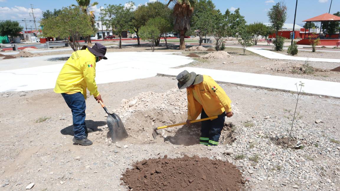 Refuerza Saltillo atención a colonias: mejoran calles, seguridad y espacios públicos en Las Teresitas