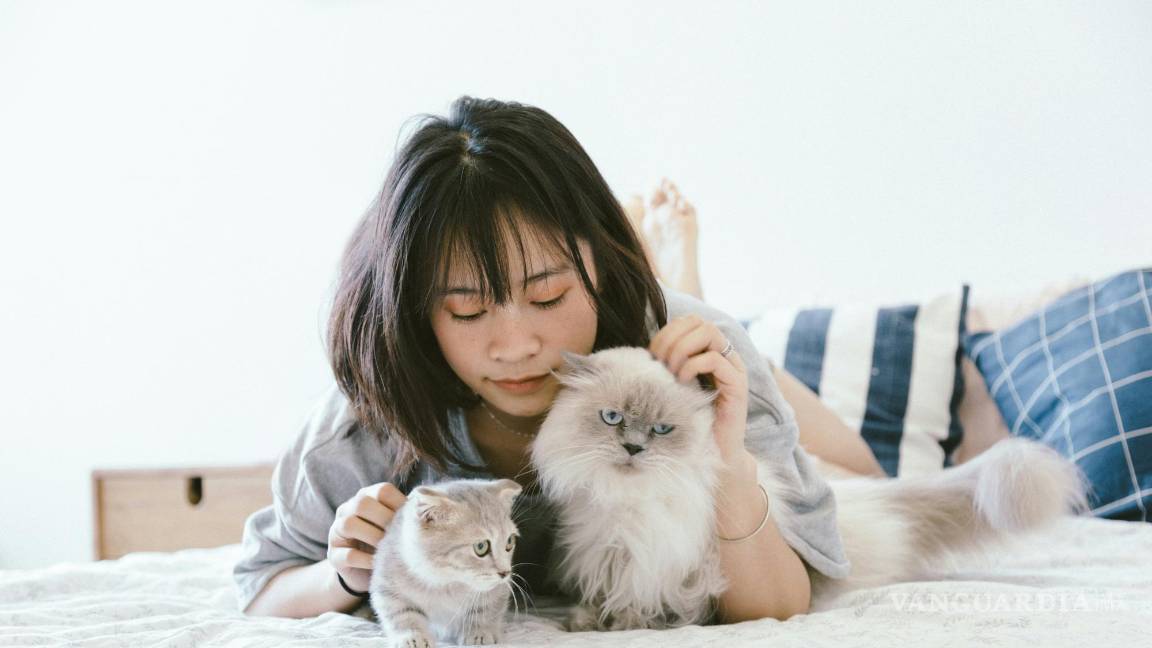 $!Es esencial comprender las necesidades reales de nuestras mascotas para asegurar su bienestar y felicidad.