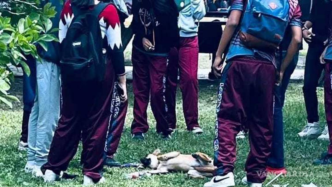 $!La persona que realiza la denuncia y quien por seguridad pide no revelar su nombre, da a conocer que se trata de estudiantes del CETIS, ubicado en la colonia Blanca Esthela del vecino municipio.