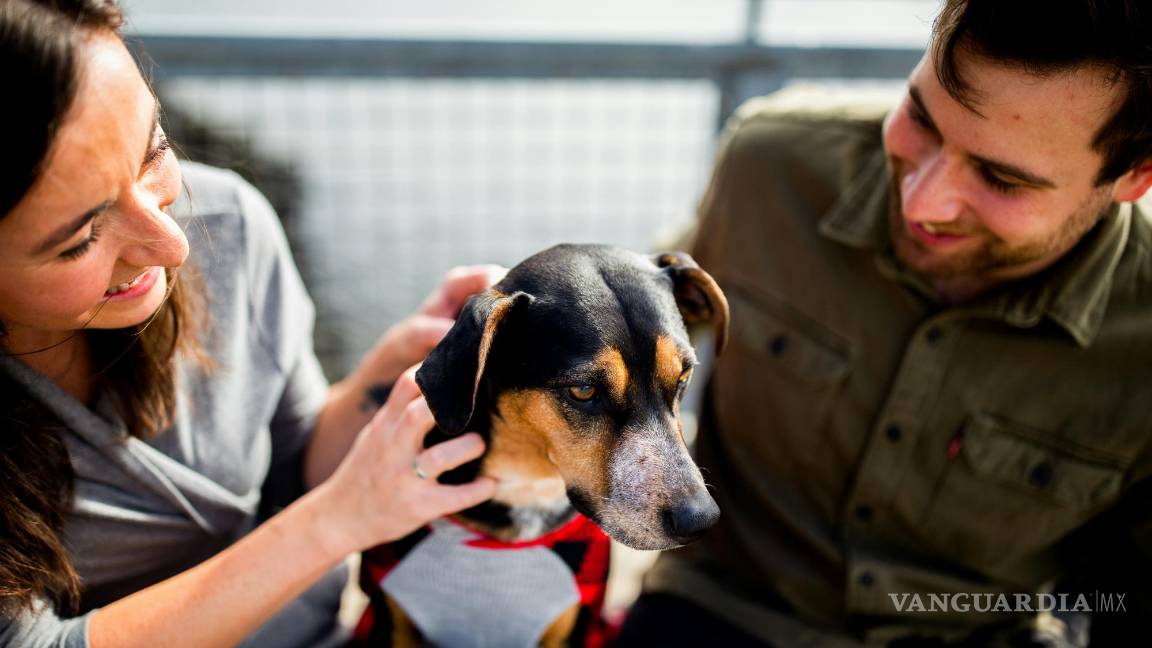 $!¿Qué dice la psicología sobre las parejas que deciden no tener hijos?