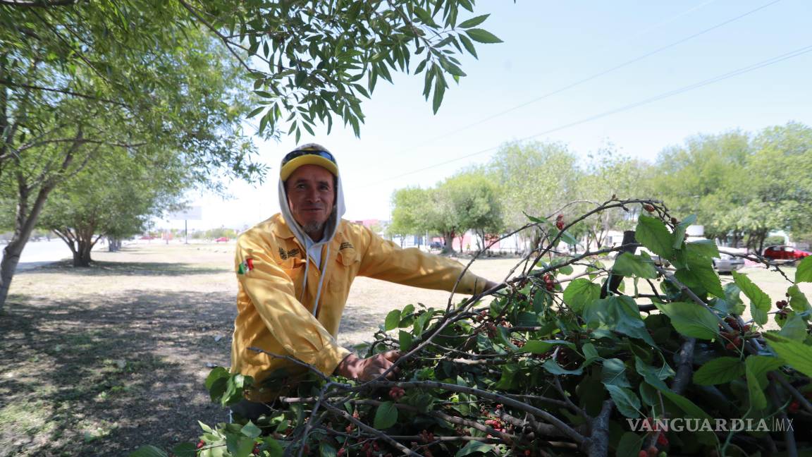 $!En respuesta a vecinos, el Ayuntamiento intervino la plaza pública de Las Brisas Poniente con limpieza y mantenimiento de áreas verdes.