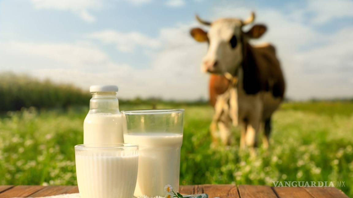 $!Su versatilidad permite disfrutarla en diversas presentaciones, desde el cereal hasta los postres.