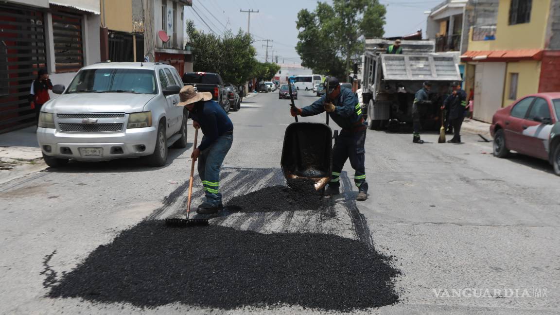 ‘Aquí andamos’ da mantenimiento, limpieza y reforestación de vialidades en Saltillo