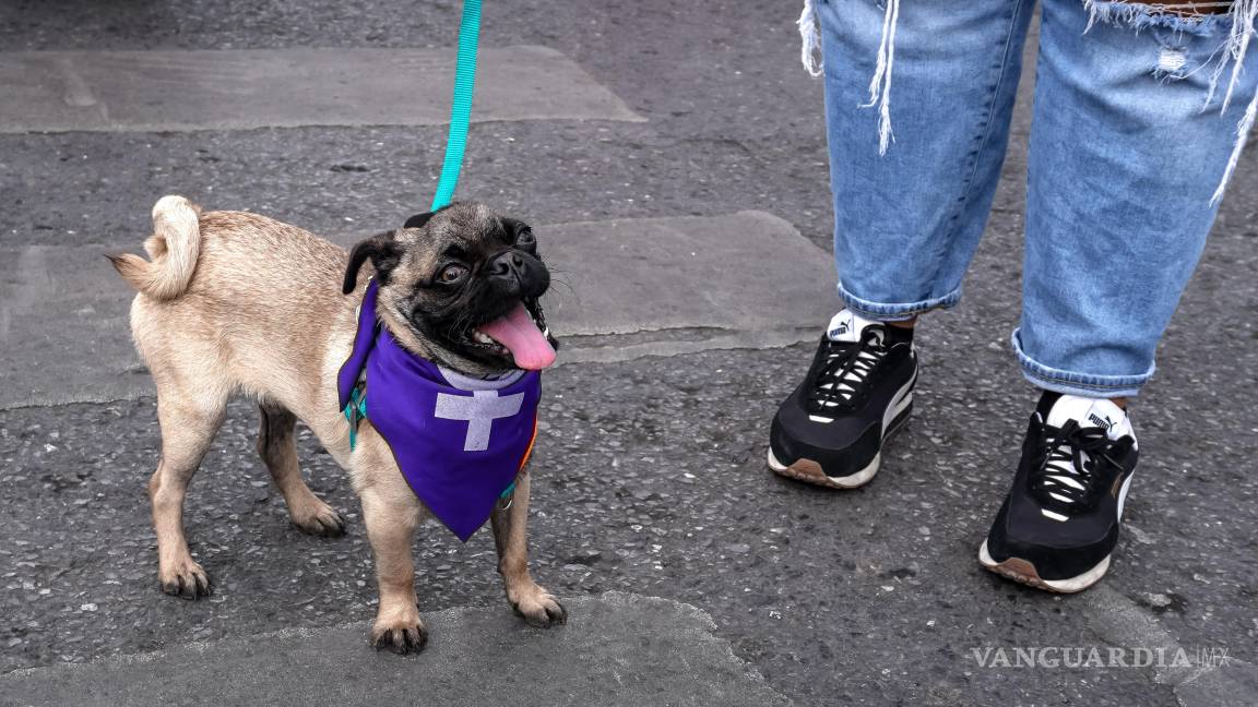 $!Muchas voces, un clamor: mujeres marchan en el 8M por una vida libre de violencia en Saltillo
