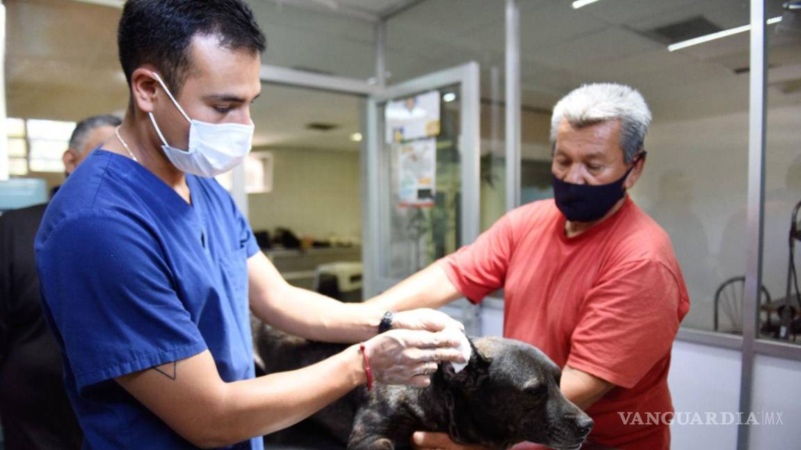Salud Municipal de Torreón promueve el registro de animales de compañía