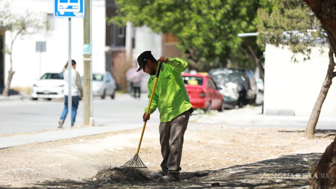 $!Los trabajos forman parte de una estrategia permanente de mantenimiento y saneamiento de espacios públicos.