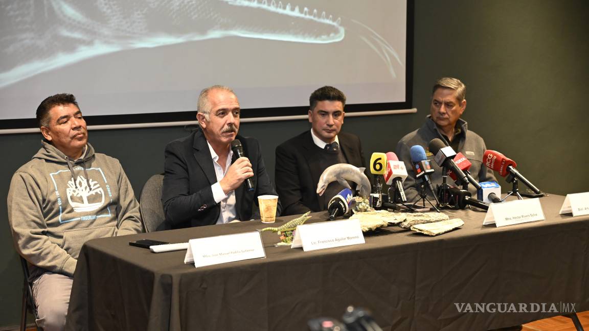 $!El Museo del Desierto anunció el descubrimiento de una nueva especie de mosasaurio.