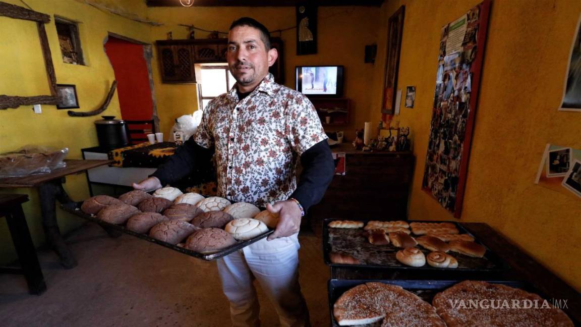 Mexika, la rústica cafetería de Santuario Paraíso Gatuno para subsistir