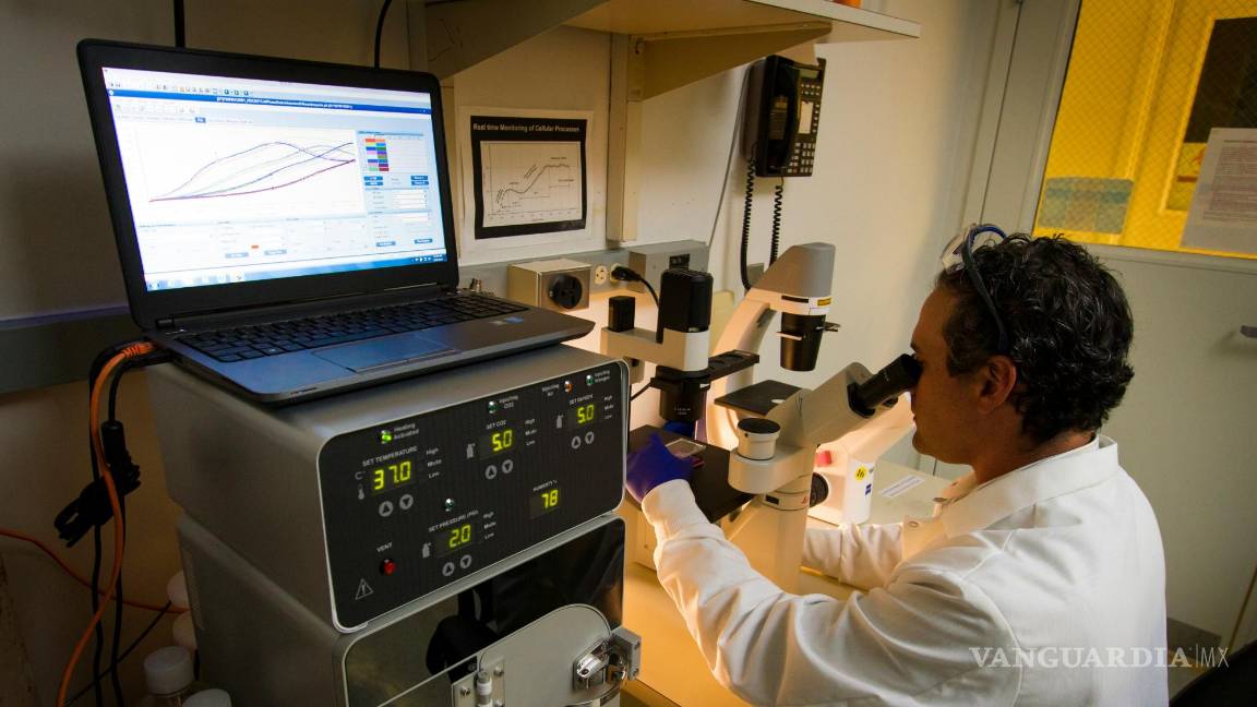 $!Una infusión de células blancas modificadas genéticamente en el marco de un ensayo clínico para tratar glioblastoma.