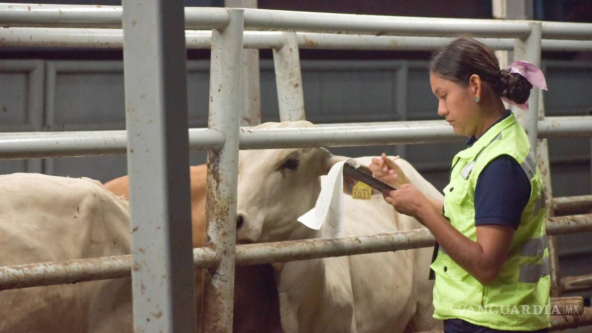 Invierte México 165 mdp para frenar al gusano barrenador