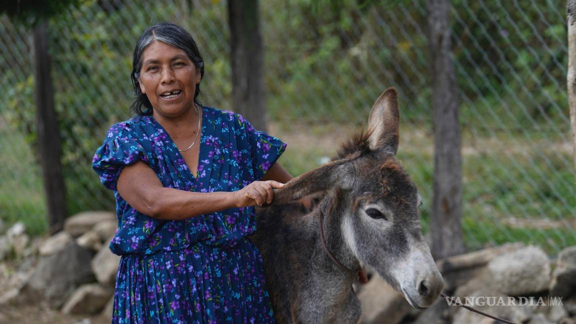 $!Cuando le preguntan sobre las dos mujeres que buscan la presidencia, Julia Méndez asegura de que una mujer sepa qué es ser una buena presidenta.