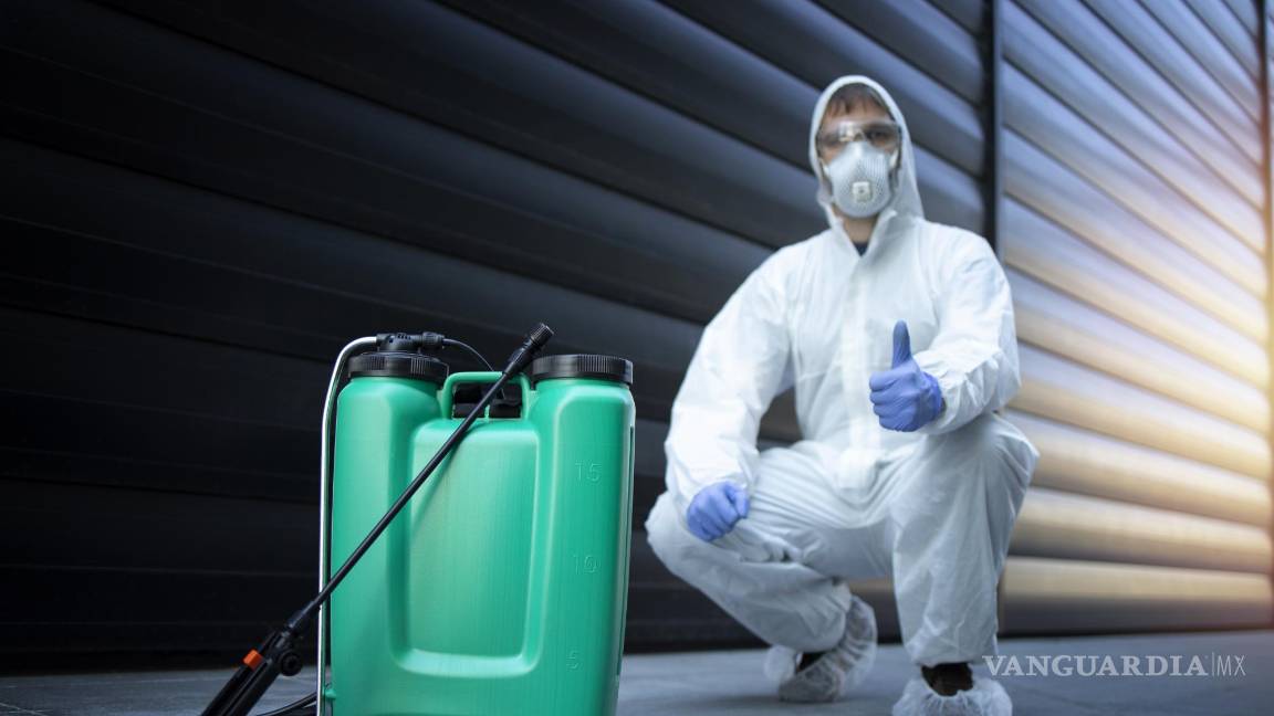 $!Los expertos descartan que todos los productos comerciales funcionen para eliminar esta plaga.