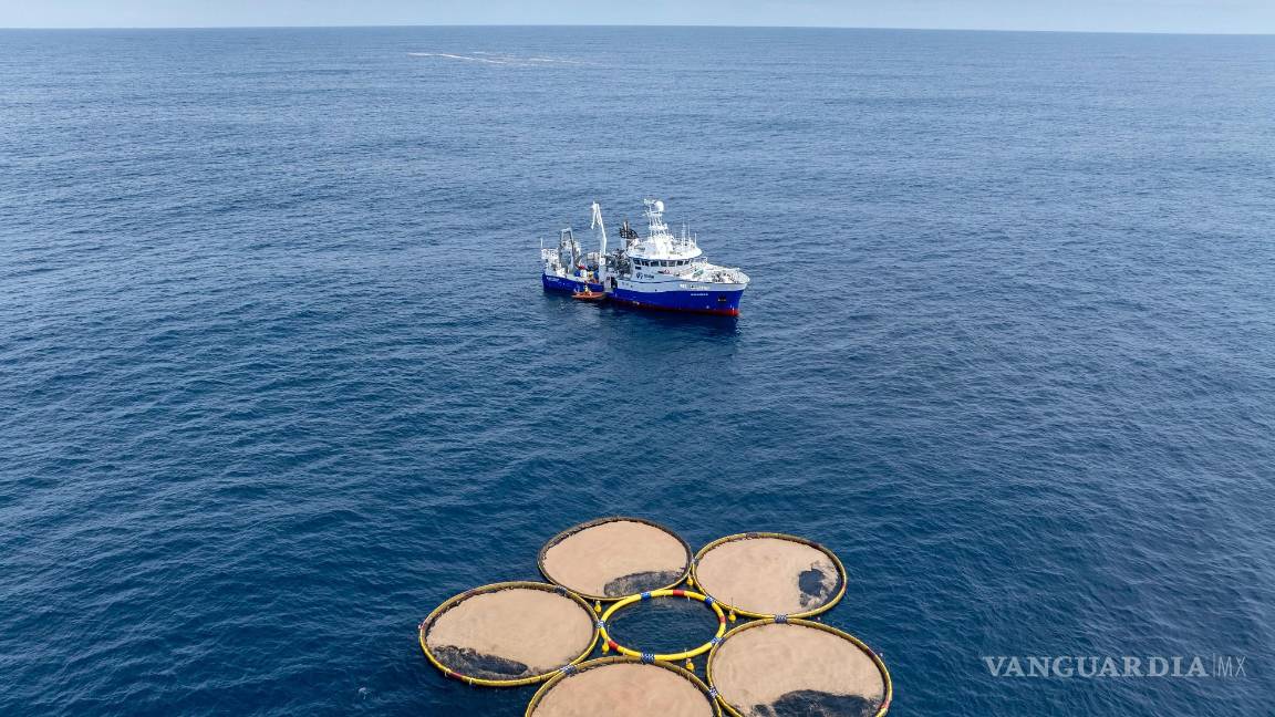 $!Estructuras circulares desarrolladas por Gigablue flotan en el océano Pacífico, frente a la costa de Dunedin, Nueva Zelanda; parte de un proyecto para cultivar pequeños organismos llamados fitoplancton que absorben el dióxido de carbono del océano.