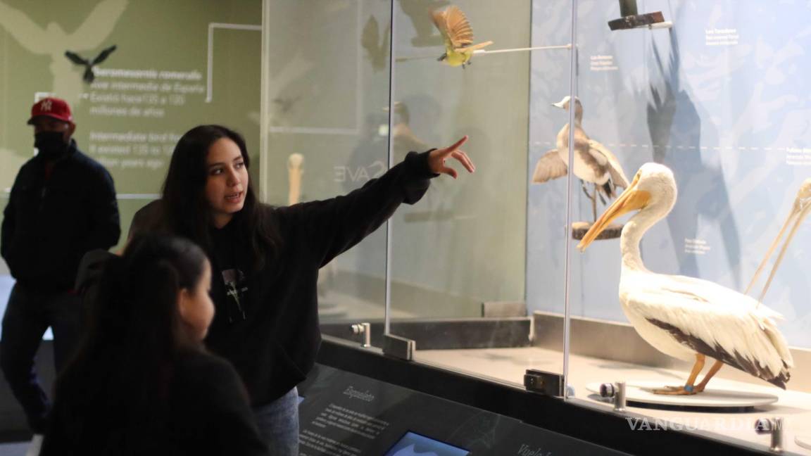Recibe Museo de las Aves de Saltillo premio internacional por la ‘concientización pública’ de las aves