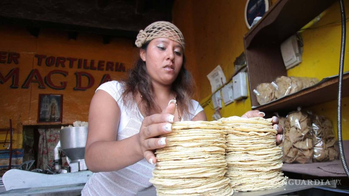 “No nos consultaron”, tortilleros fueron dejados de lado en plan anti inflación