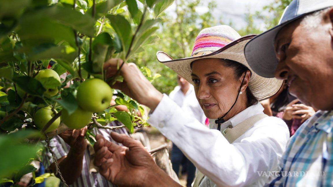 Claudia Sheinbaum destaca la importancia del trabajo colaborativo en Coahuila