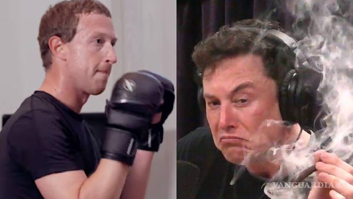 ¡Hay tiro! Elon Musk reta a Mark Zuckerberg a pelea en jaula, CEO de Facebook acepta