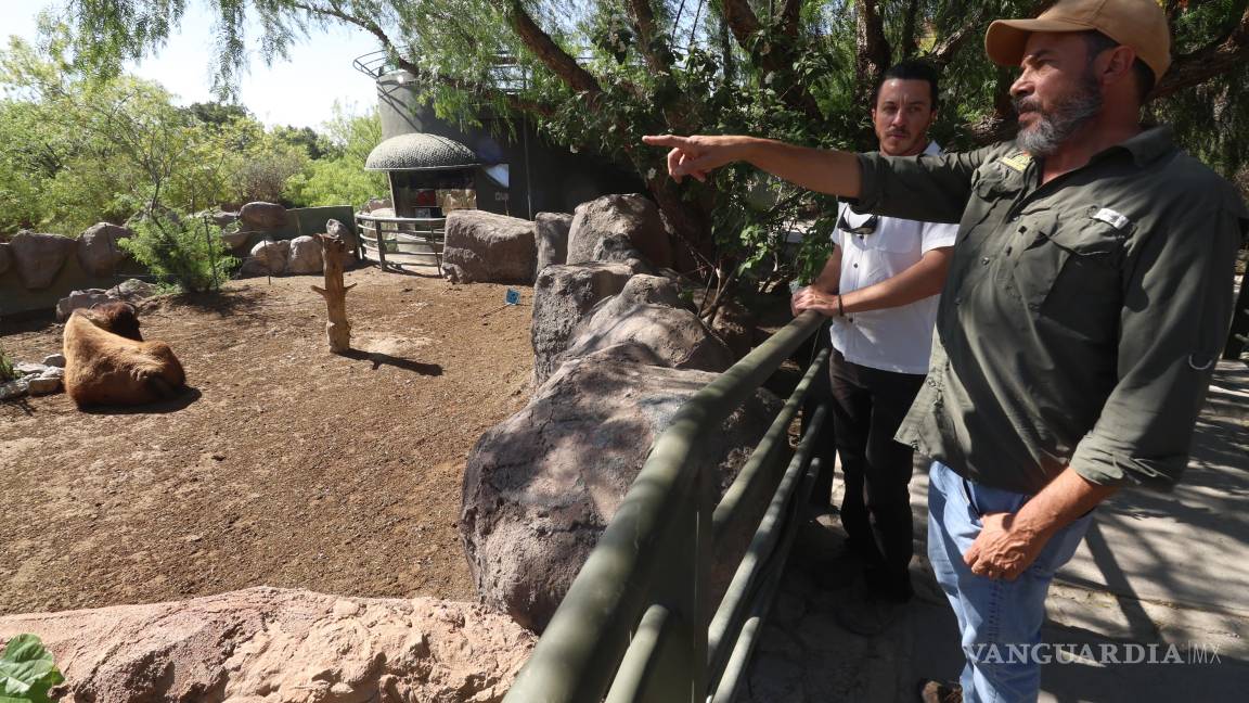 $!El proyecto de ecoturismo busca concienciar a la comunidad sobre la importancia de la restauración ecológica y la preservación de especies.