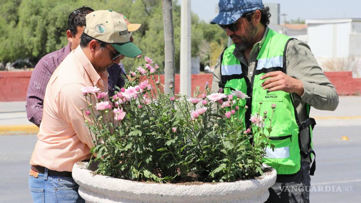 $!Con la instalación de árboles de olivo y plantas polinizadoras, Saltillo busca incentivar la creación de espacios verdes y la protección de la biodiversidad.