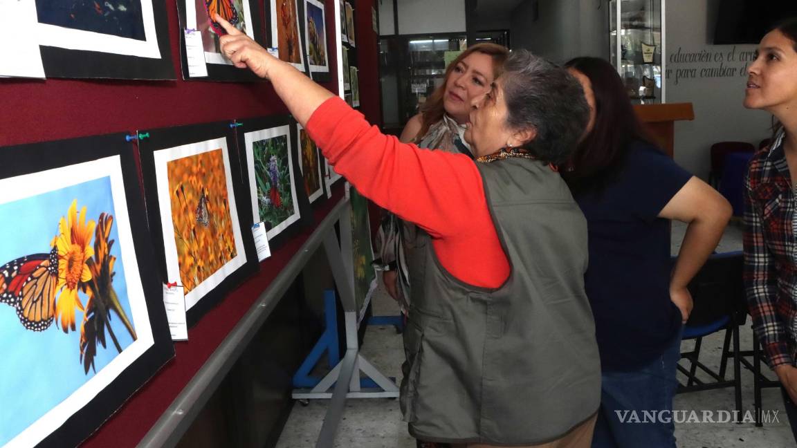 $!Fotógrafos de todo México, como Rocío Reyval Ramírez y Nereida Barrios, documentaron el recorrido de las mariposas monarca por diversos estados.