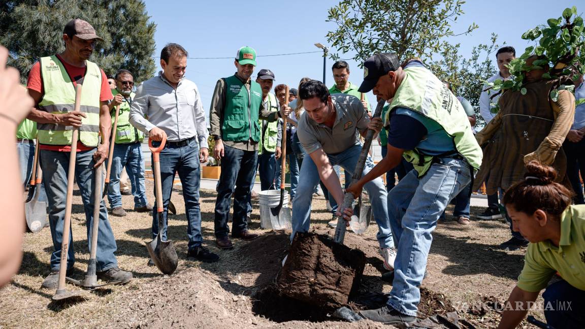 Saltillo se suma a la Reforestación Verde Verde Coahuila 2025 con árboles y jardines polinizadores