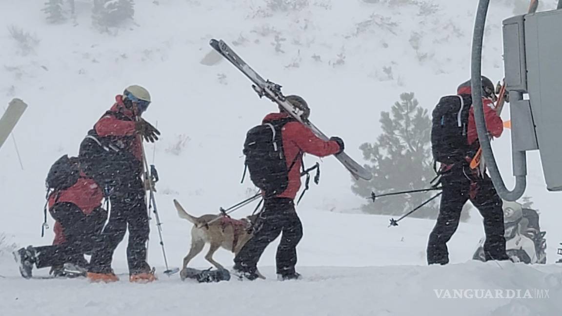 $!Acompañadospor perros rescatistas, el personal de ayuda estuvo revisando el área, utilizada por esquiadores expertos.