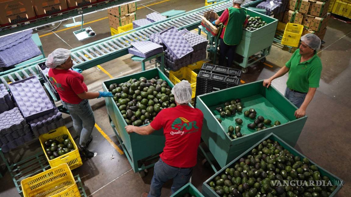 Aseguran que, tras pandemia, EU recuperó economía gracias a la comunidad latina