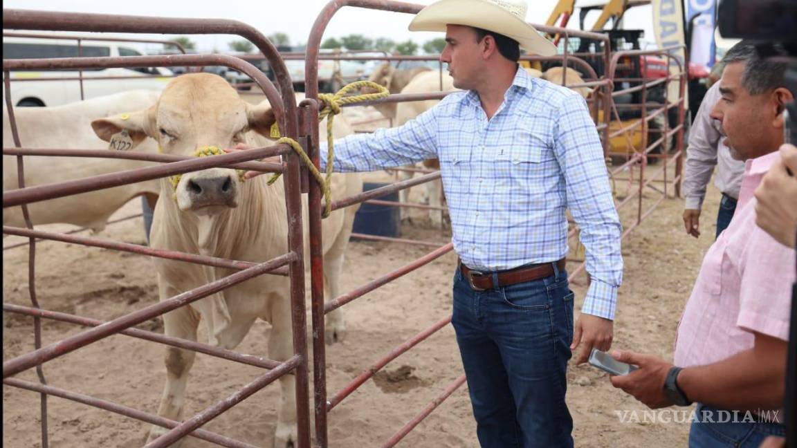Arranca Coahuila con Programa de Mejoramiento Genético para apoyar al sector ganadero local