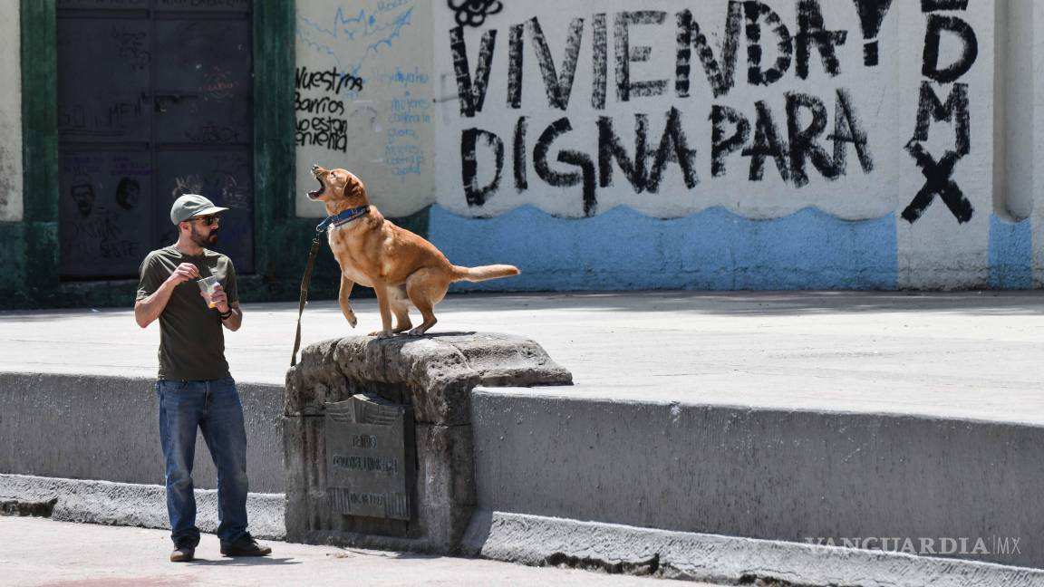 $!En la Ciudad de México, se reportaron movilizaciones cuestionando la gentrificación de ciertas colonias clásicas de la ciudad.