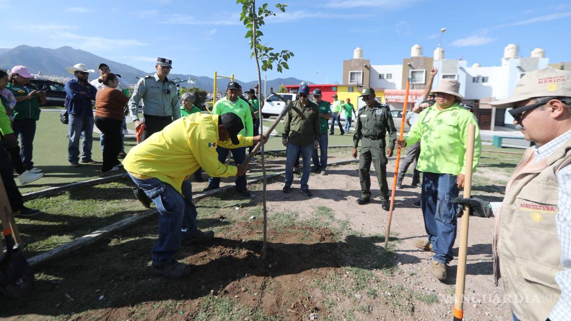 $!Integrantes del Ejército Mexicano y la Guardia Nacional participaron en la plantación de árboles, mostrando el respaldo del Gobierno Federal.