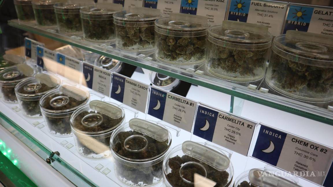 $!AME1851. WASHINGTON D.C (ESTADOS UNIDOS), 17/08/2023.- Fotografía de una vitrina con diferentes tipos de marihuana, el 09 de agosto de 2023, en el Takoma Wellness, el mayor dispensario en Washington D.C. (EE. UU). Entre pipas coloridas, jóvenes parejas con los brazos tatuados y pósters gigantes con imágenes de marihuana, Willie Marby, de 73 años, recoge periódicamente su prescripción de cannabis medicinal en Takoma Wellness, el mayor dispensario en Washington D.C. EFE/ Octavio Guzmán