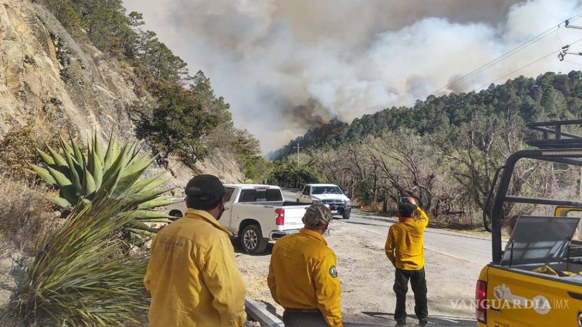 $!Esta nueva ley contempla sanciones onerosas para quien provoque un incendio.