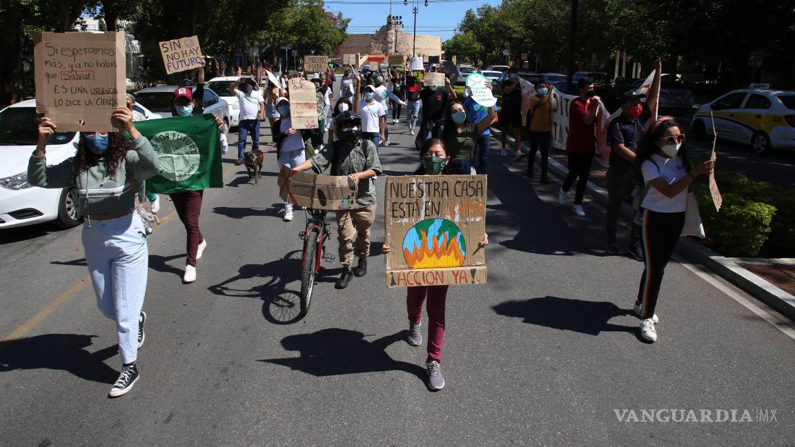 Asesinan a 84 defensores del medio ambiente en México desde 2016: ONG