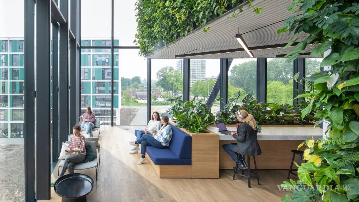 $!Matrix One aloja abundante vegetación natural.